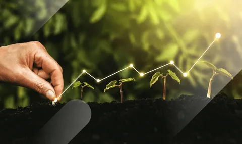 SQM Club: A Community-Led Approach to Reducing Your Carbon Footprint